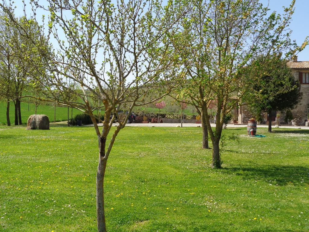 La Locanda Dell'Olmo Orvieto Dış mekan fotoğraf